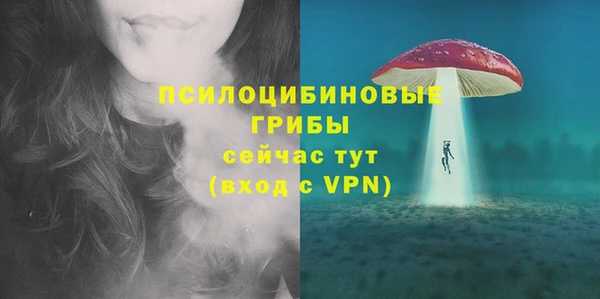 дмт Нефтегорск