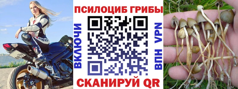Купить закладки  Артём  Галлюциногенные грибы мицелий 